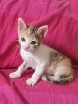 Agatha und Esmeralda