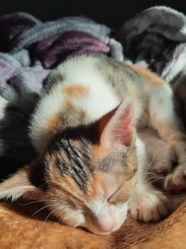 Agatha und Esmeralda