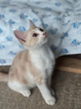 Marc, Merino und Brian