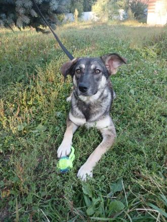 Verzaubert Lori dich mit ihren augen ?!