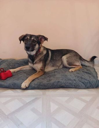 Verzaubert Lori dich mit ihren augen ?!