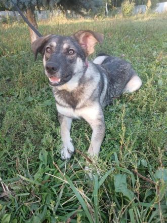 Verzaubert Lori dich mit ihren augen ?!