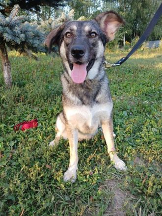 Verzaubert Lori dich mit ihren augen ?!