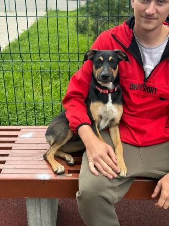 Junge hübsche Dory sucht ihre Familie