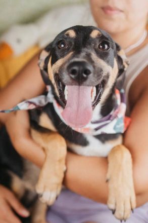 Junge hübsche Dory sucht ihre Familie