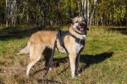 Die wundervolle Zhuzha sucht wundervolle menschen