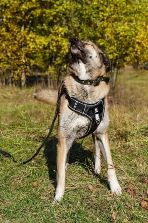 Die wundervolle Zhuzha sucht wundervolle menschen