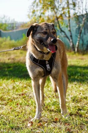 Die wundervolle Zhuzha sucht wundervolle menschen