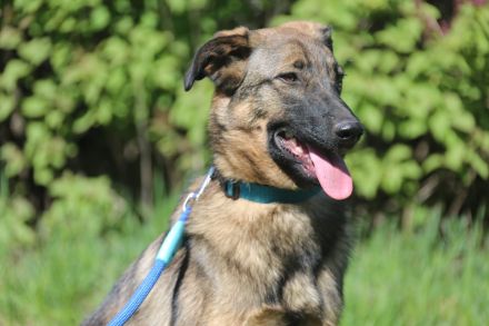 Vasilisa (1 jahre alt) sucht ein Zuhause