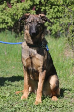 Vasilisa (1 jahre alt) sucht ein Zuhause