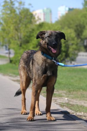 Vasilisa (1 jahre alt) sucht ein Zuhause
