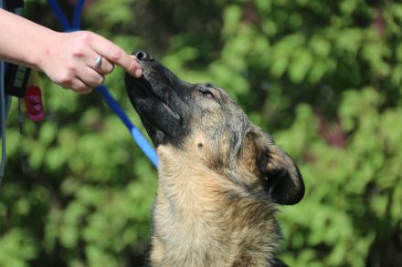 Vasilisa (1 jahre alt) sucht ein Zuhause