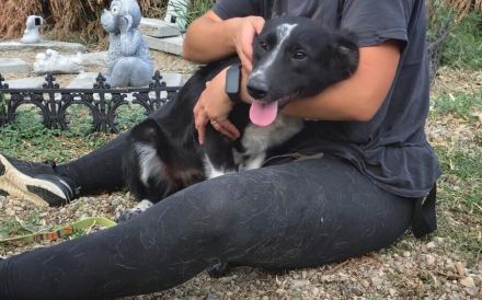 Familie für Fenna gesucht