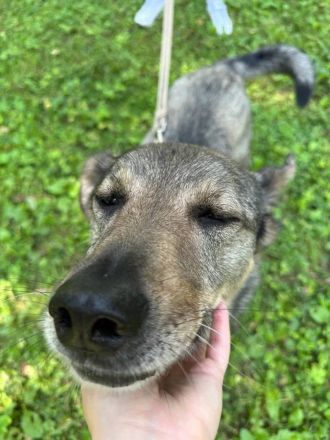 Breeze mit braunen augen sucht dich ...