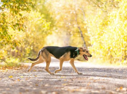 Zauberhafte Amanda sucht liebe menschen