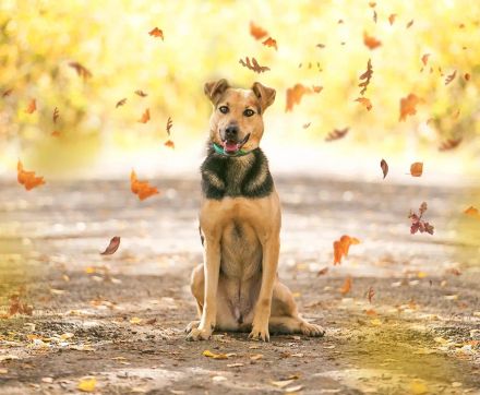 Zauberhafte Amanda sucht liebe menschen