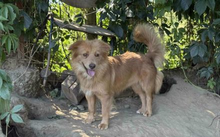 Schenke Sidra einen liebevollen Neuanfang