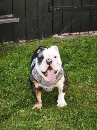 Schweren Herzens abzugebn