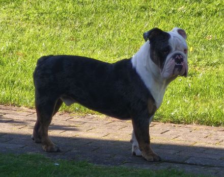 Schweren Herzens abzugebn