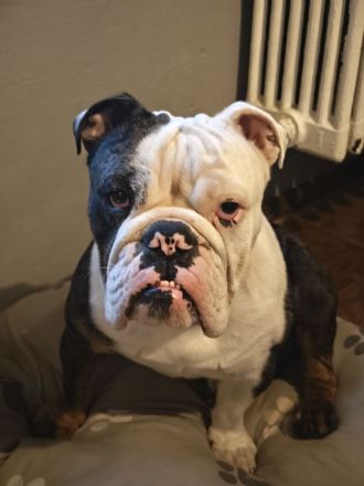 Schweren Herzens abzugebn