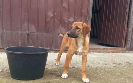 Lolly wartet schon auf dich