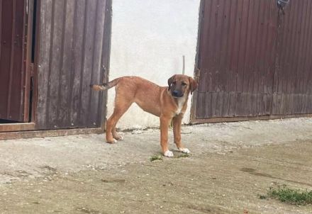 Lolly wartet schon auf dich