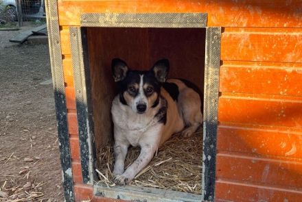 Noa ist bereit für ein neues Leben