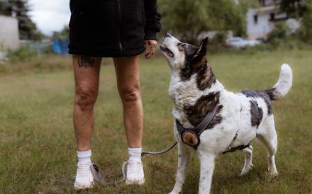 Noa ist bereit für ein neues Leben