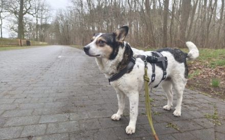 Noa ist bereit für ein neues Leben