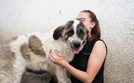 Bunty wartet auf dich