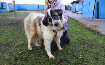 Bunty wartet auf dich