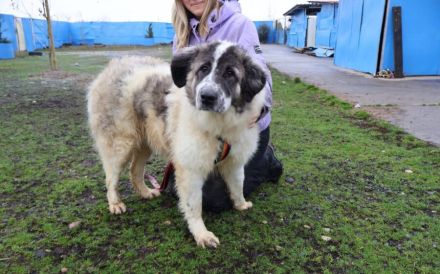 Bunty wartet auf dich