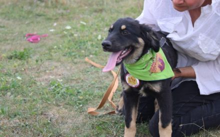 Verliebst du dich in Luuk?