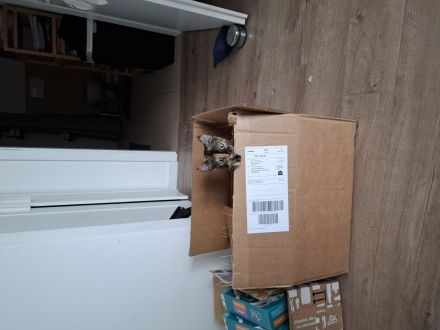 Die kleine Amy abzugeben