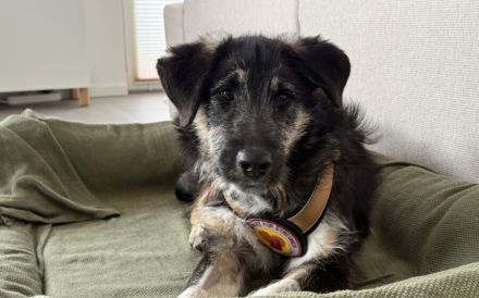 Wer möchte Missy eine zweite Chance geben?