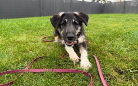 Wer möchte Missy eine zweite Chance geben?