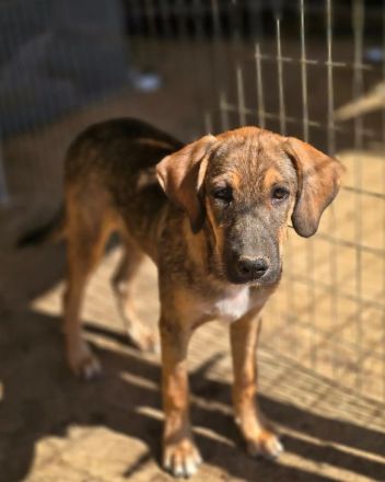 Castro – mutig und lebensfroh