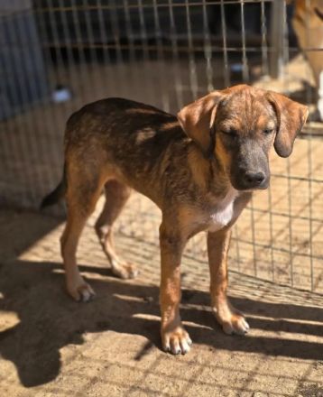 Castro – mutig und lebensfroh