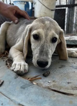 Jette – voller Energie und mit offenem Herzen