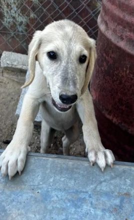 Jette – voller Energie und mit offenem Herzen