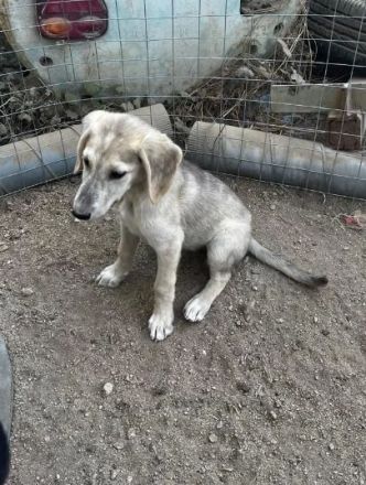 Jette – voller Energie und mit offenem Herzen