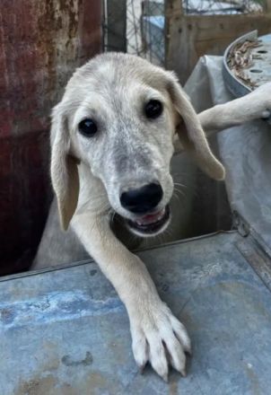 Jette – voller Energie und mit offenem Herzen