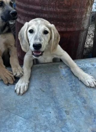 Jette – voller Energie und mit offenem Herzen