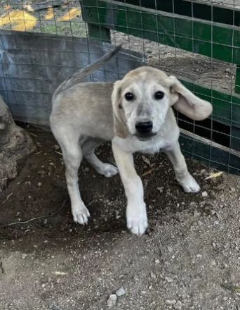 Jette – voller Energie und mit offenem Herzen