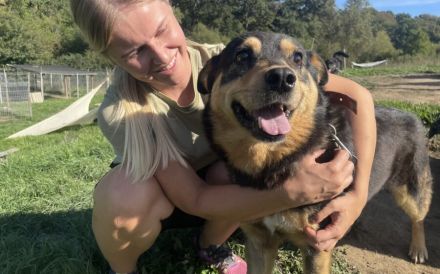 Sicheres Zuhause für blinden Bosco