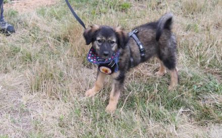 Liv wartet schon auf Deine Anfrage!