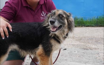 Neska freut sich schon auf dich!