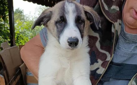 Pierre wartet auf seine Familie