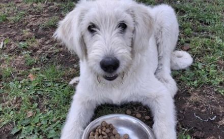 Verliebst du dich in Rob?