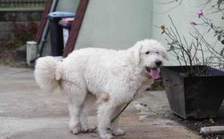 Verliebst du dich in Rob?